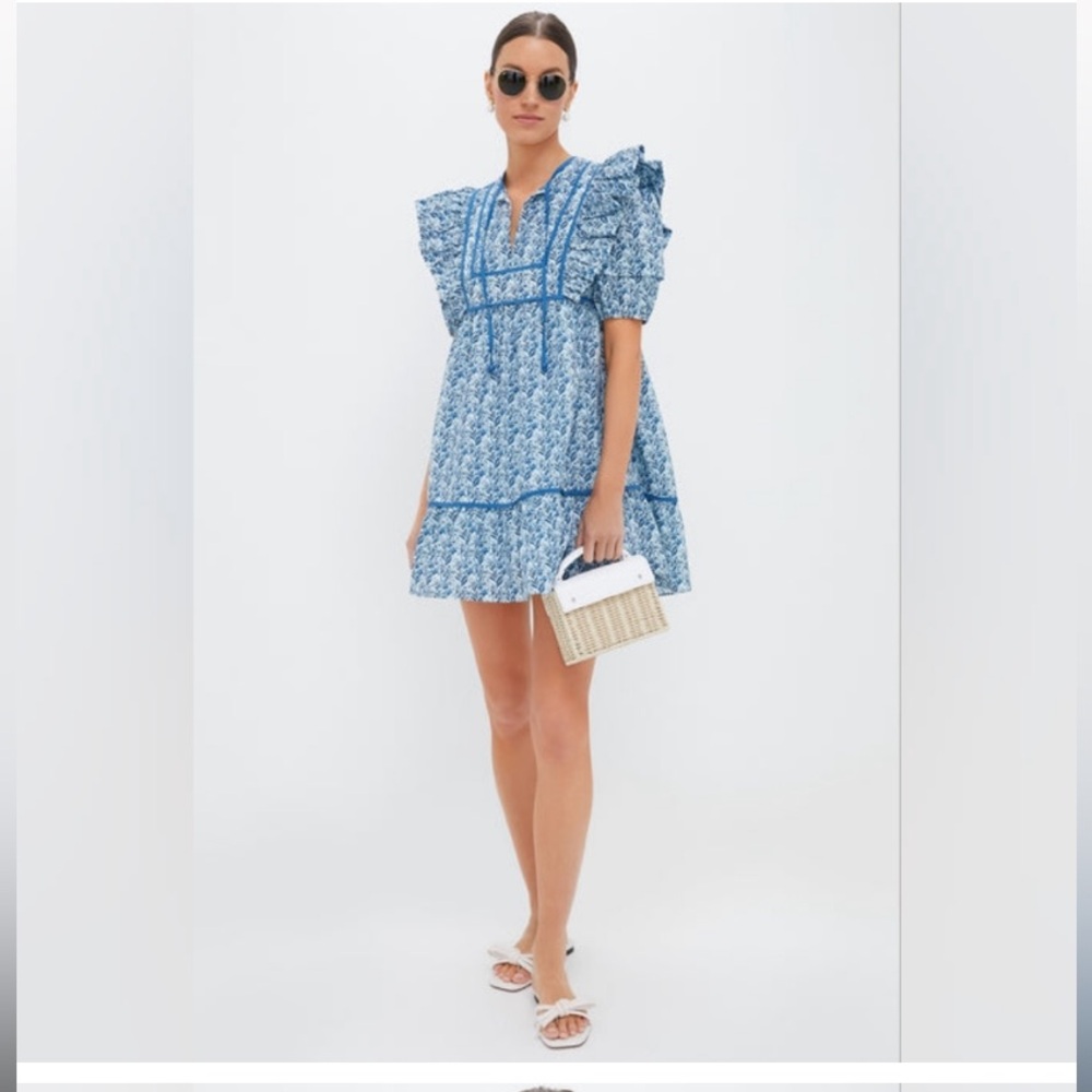 Tuckernuck Blue Floral Rosaleigh Spring Mini Dress